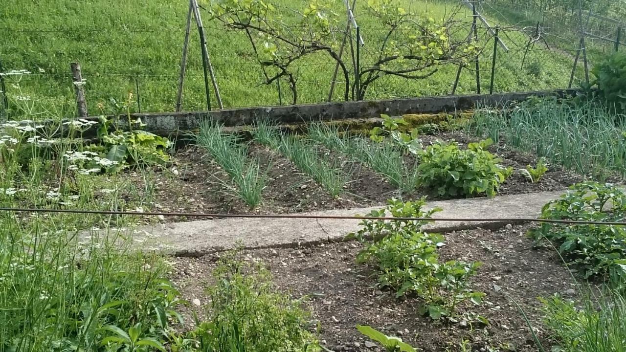 Willa Ferme Familiale Chez Lili Alex Zewnętrze zdjęcie